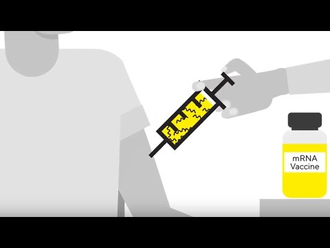 How Vaccines Are Made and Manufactured | mRNA-Based Platform