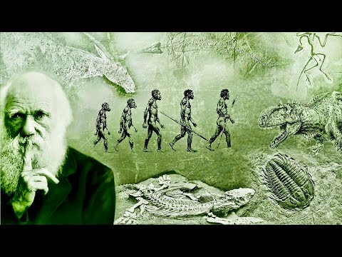 Evolution - What Darwin Never Knew - NOVA Full Documentary HD