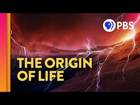 Where Did Life Come From? (feat. PBS Space Time and Eons!)
